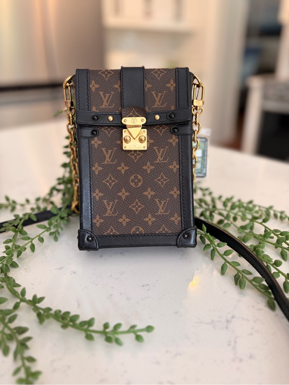 Louis Vuitton Brown and Black Monogram Mini Trunk Crossbody